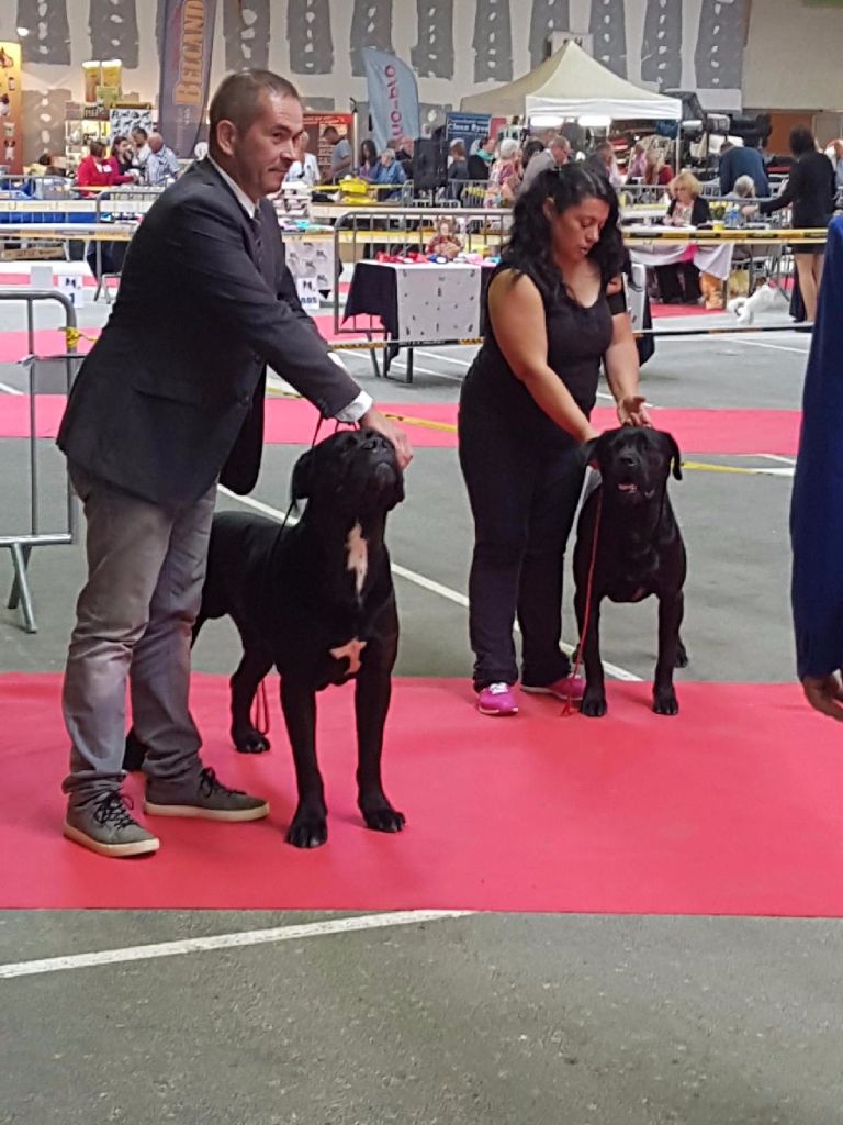 Du Moulin De Bagneux - Exposition canine internationale de Macon 