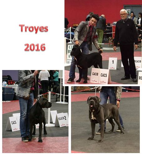 Du Moulin De Bagneux - Résultats exposition canine internationale Troyes 