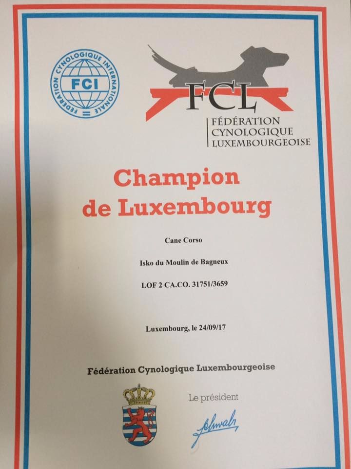 Du Moulin De Bagneux - Isko champion du Luxembourg