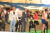  - Resultats expostion canine de Dijon 