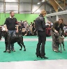  - Résultats exposition canine Bourg-en-Bresse