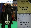  - Résultats exposition canine nationale de Vesoul