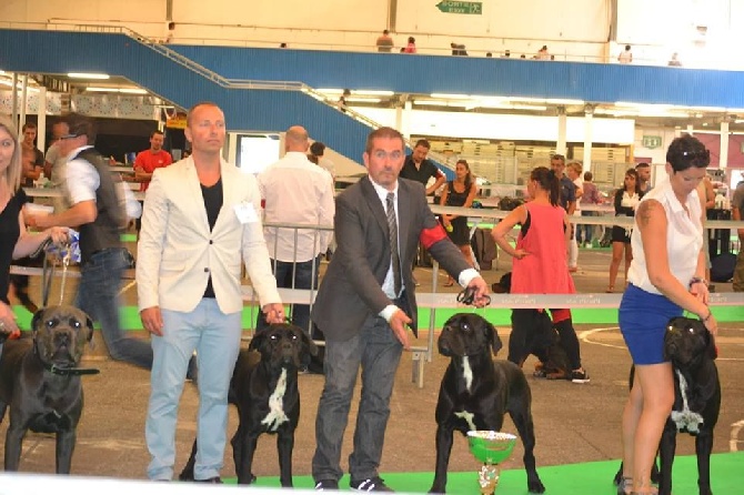 Du Moulin De Bagneux - Resultats expostion canine de Dijon 